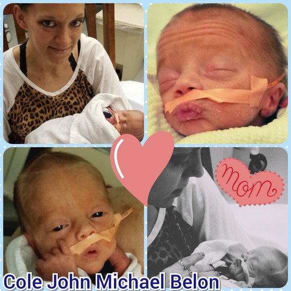 Meet your Posher, Sami - Picture 1 of 1